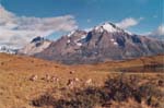 Chile - parque nacional torres del paine - 